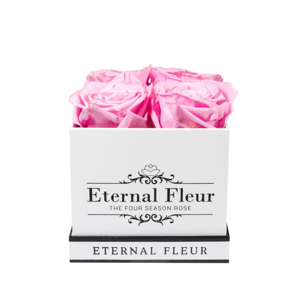 Grand Square 4 Roses Pastel Pink Please Select Black Or White Box By Eternal Fleur