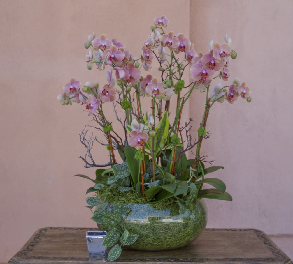 orchid arrangement 18