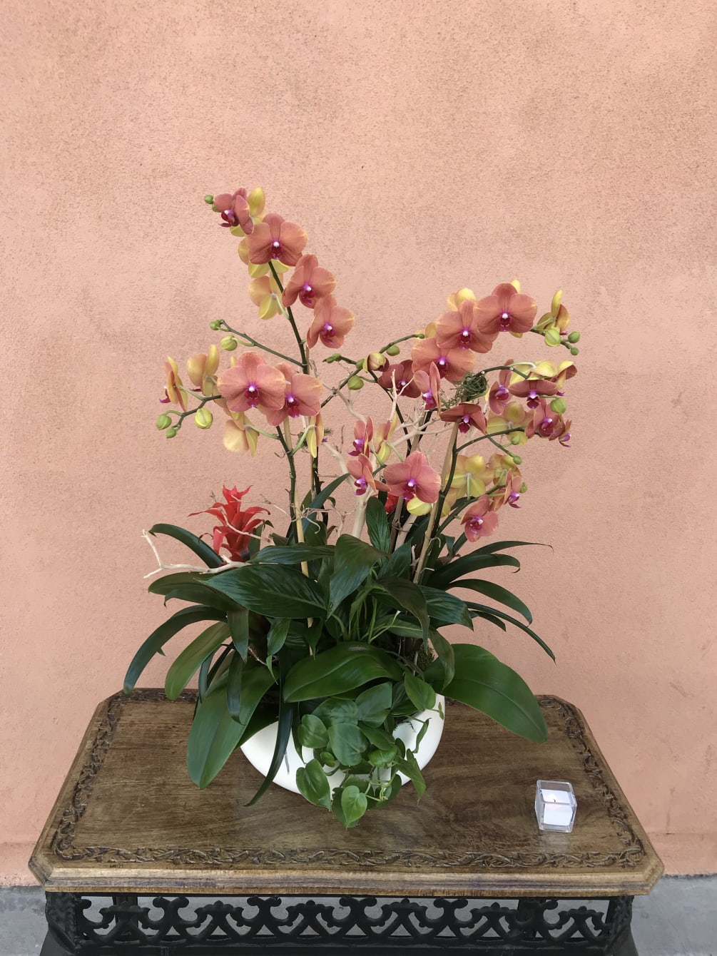 Orchid Arrangment x12