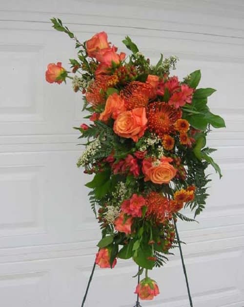Easel features 5 pin cushion protea, 12 orange roses, alstromeria, all nestled