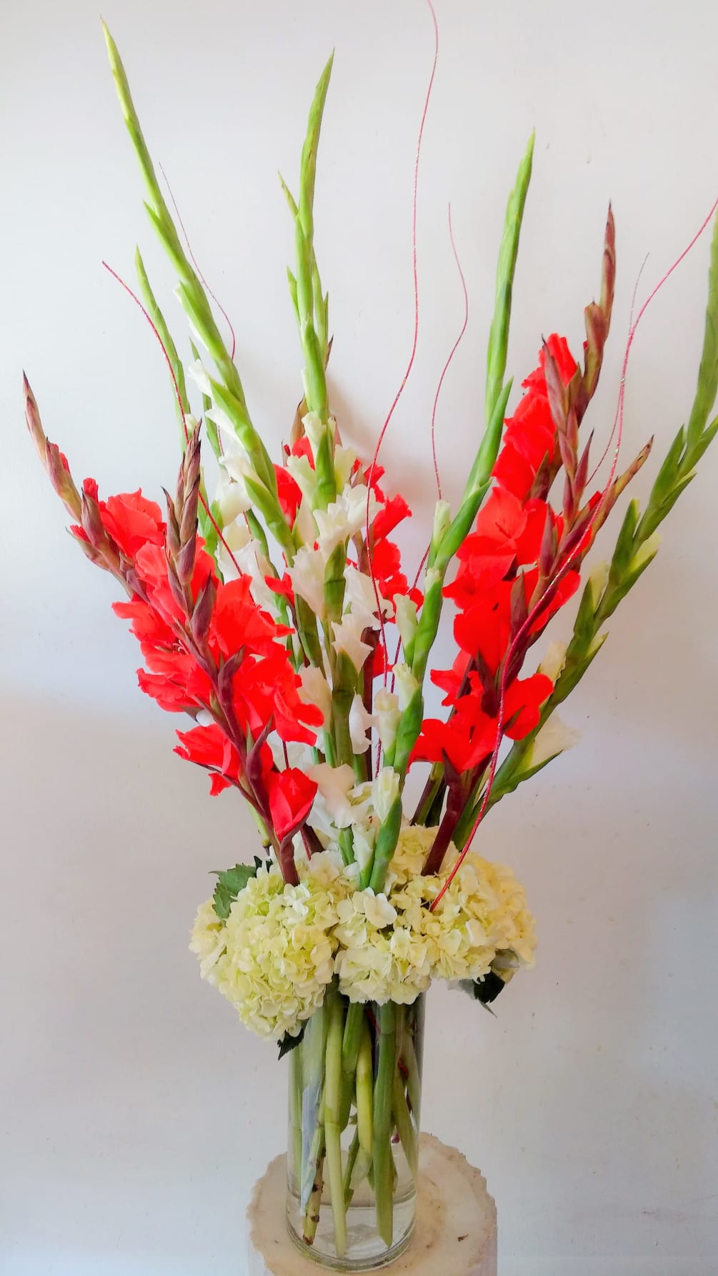 5&quot; x 12&quot; cylinder filled with red and white gladiolus and white