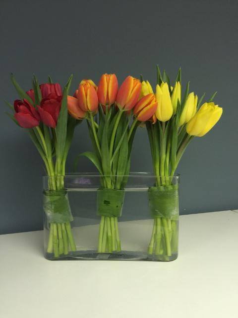 3 bunches of beautiful Tulips in a oval vase with bright vibrant