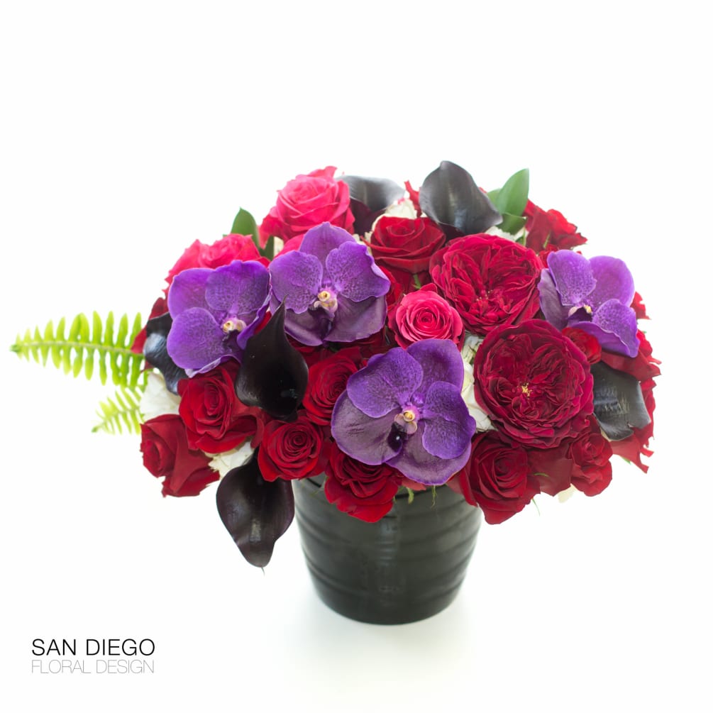 Gorgeous garden roses, vanda orchids, red and hot pink roses and dark