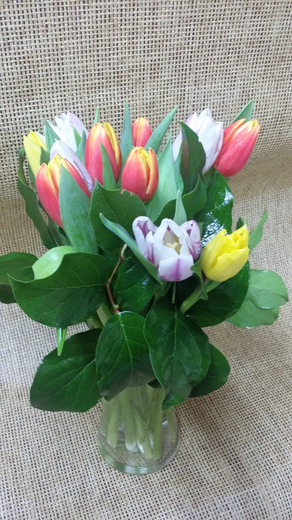 Arrangement of solid or mixed tulips welcome the new season with bright