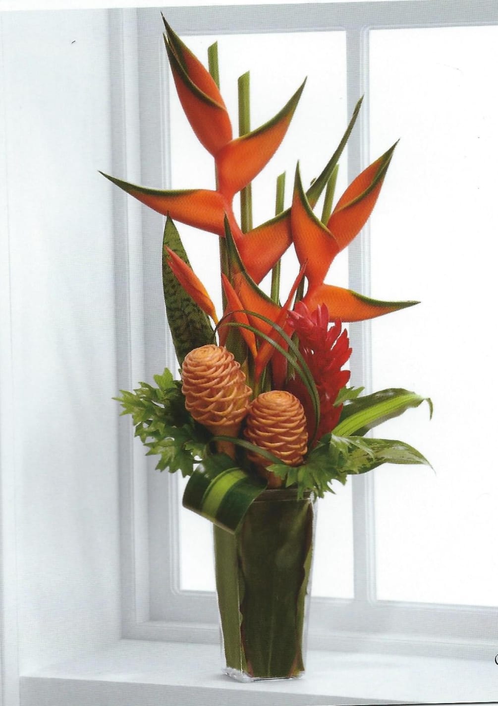 modern tropical arrangement  great for any occasion,  