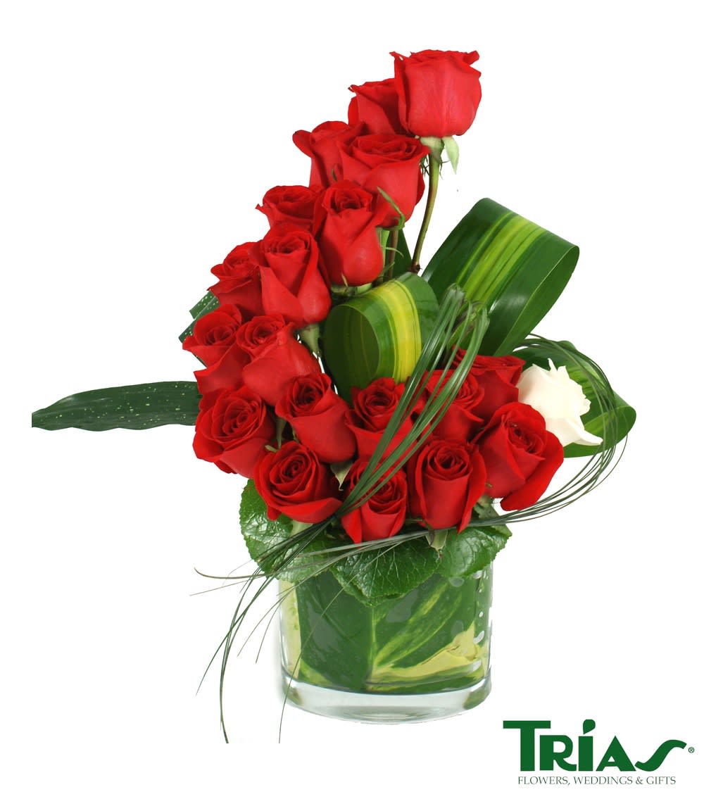 Red Rose Wave By Trias Flowers Events
