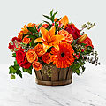Our Harvest Memories Basket includes orange lilies; red hypericum berries; red &amp;