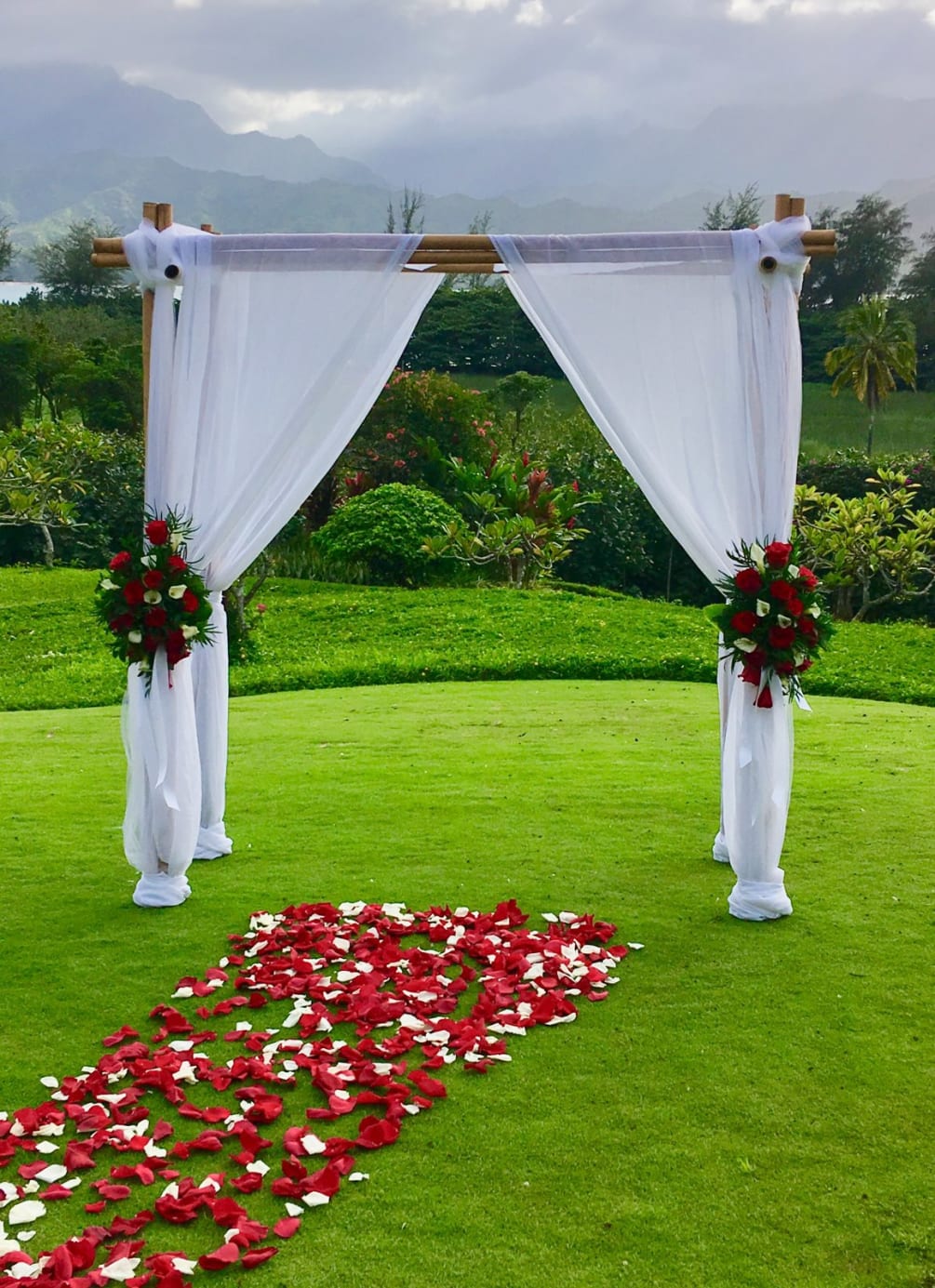 Bamboo arch chiffon 200.00, 2- side sprays red roses &amp; white mini