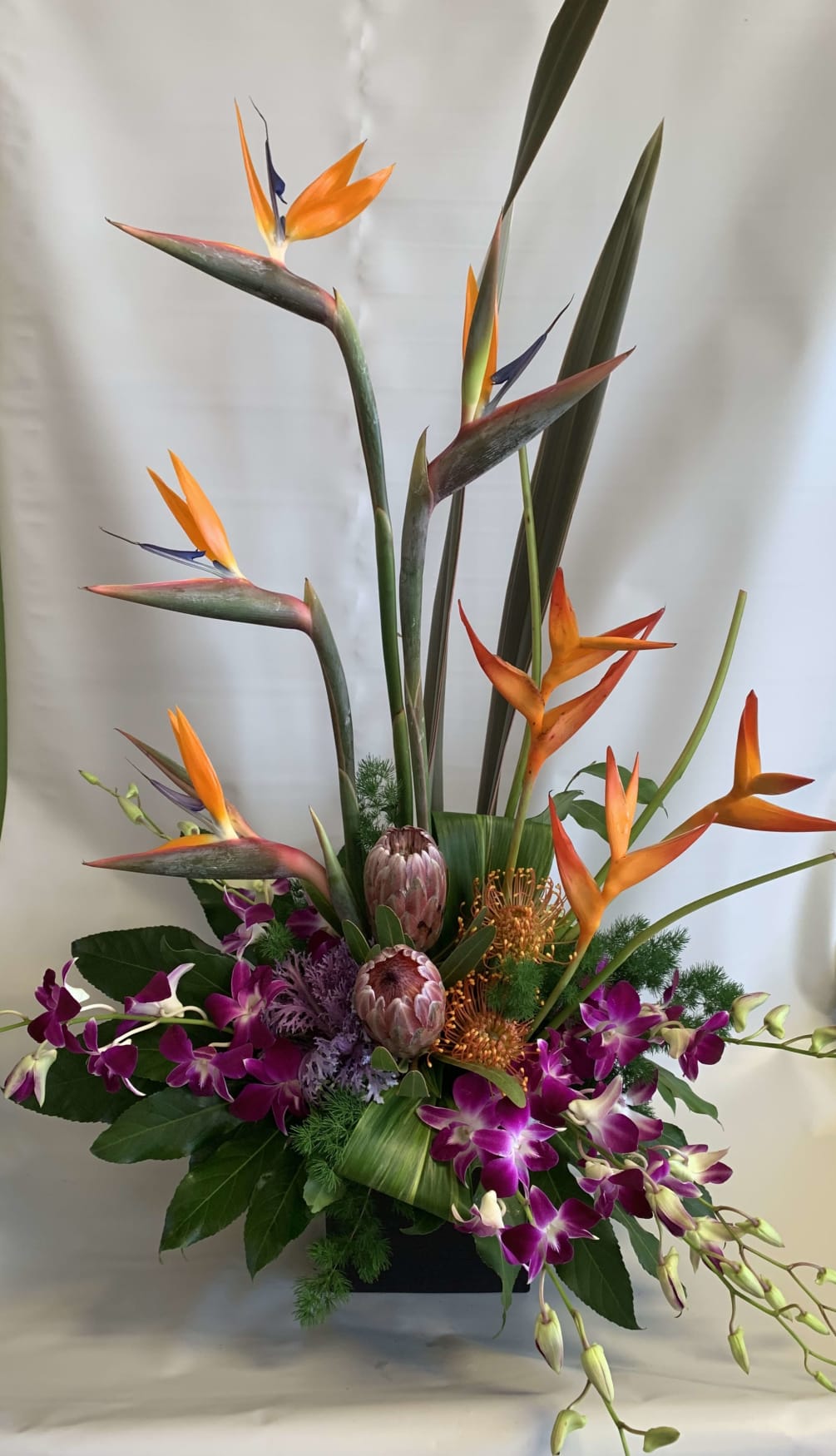Birds of Paradise rise out of a bed of orchids and proteas