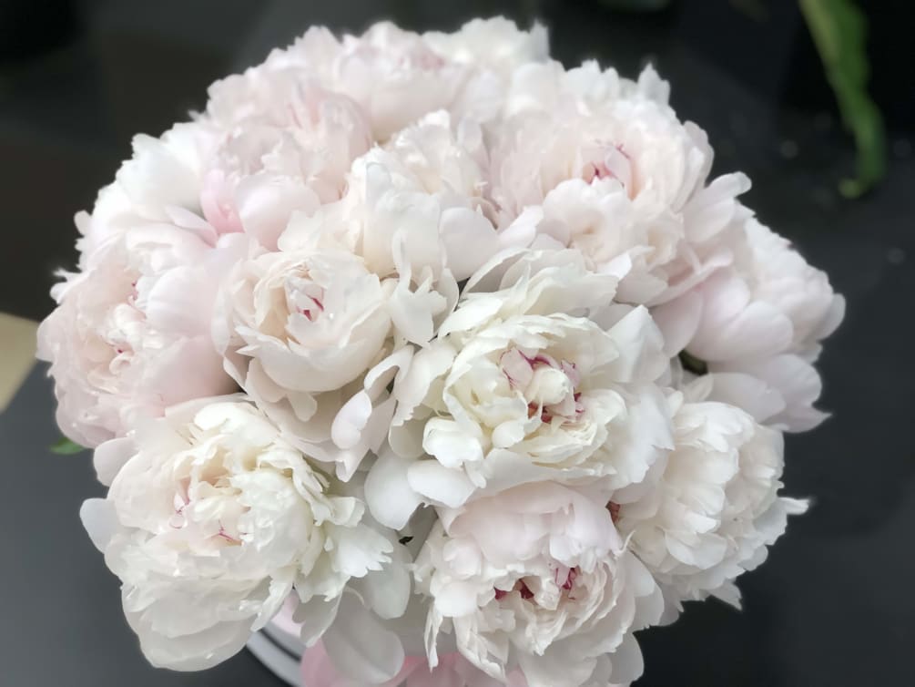 3 Dozen White Peonies In Round Hat Box By Luxury Flowers Miami A stunning unique flower arrangement, sure to make an impression! 3 dozen white peonies in round hat box