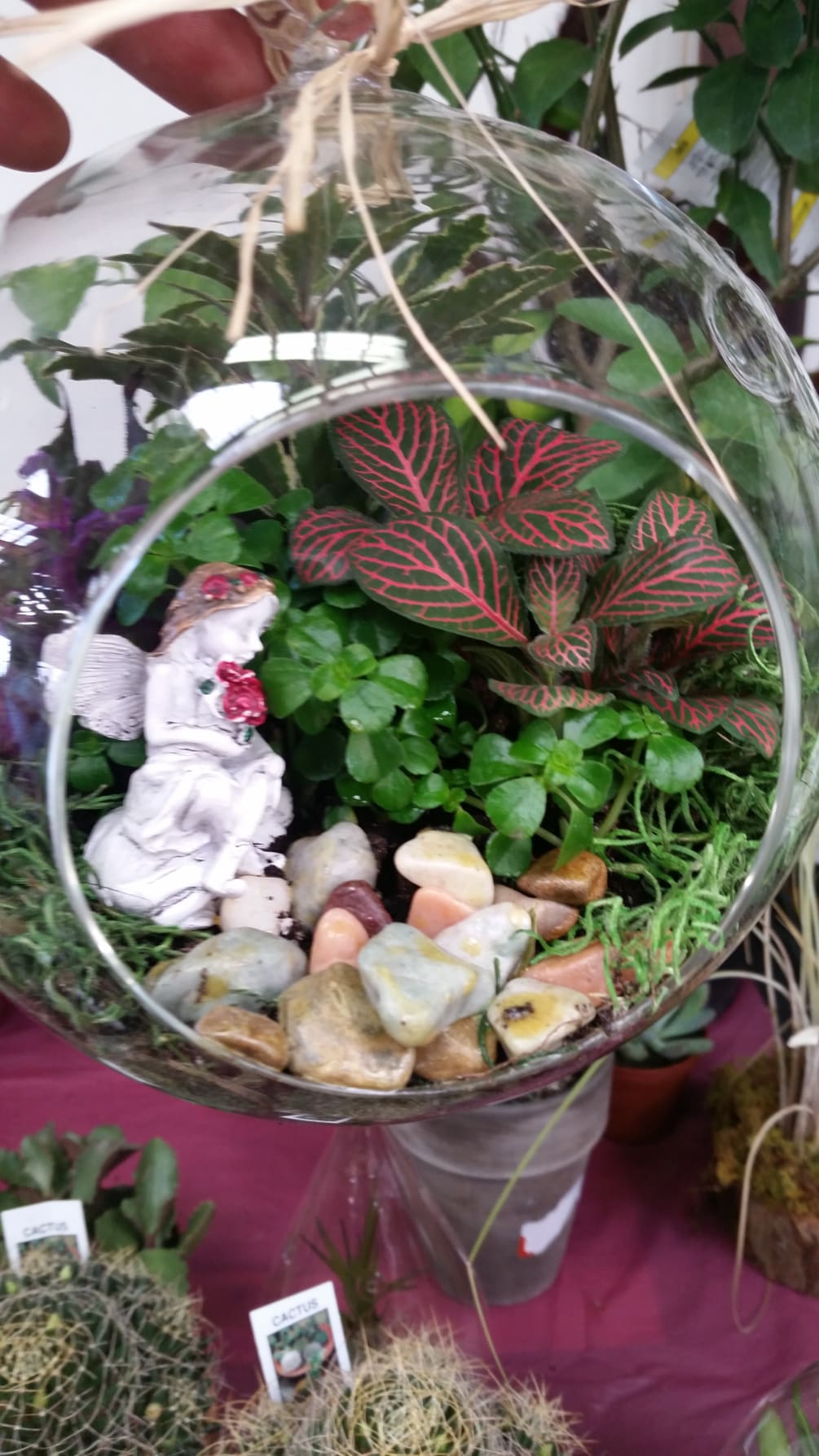 Fairy garden made from Roma florist bubble bowl glass