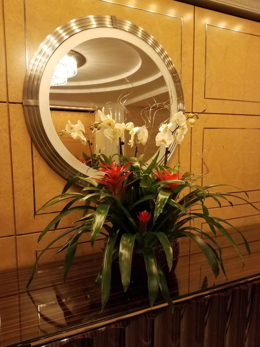 Tropical Arrangement Orchids And Bromeliads By Roma Florist