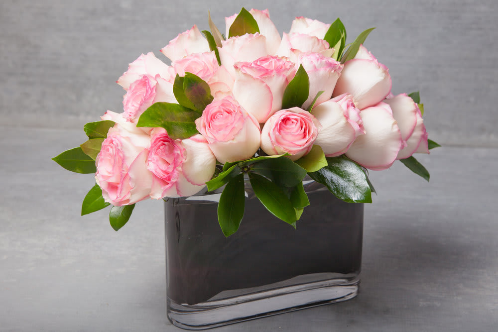 24 Pink and pretty Roses in a contemporary signature design.