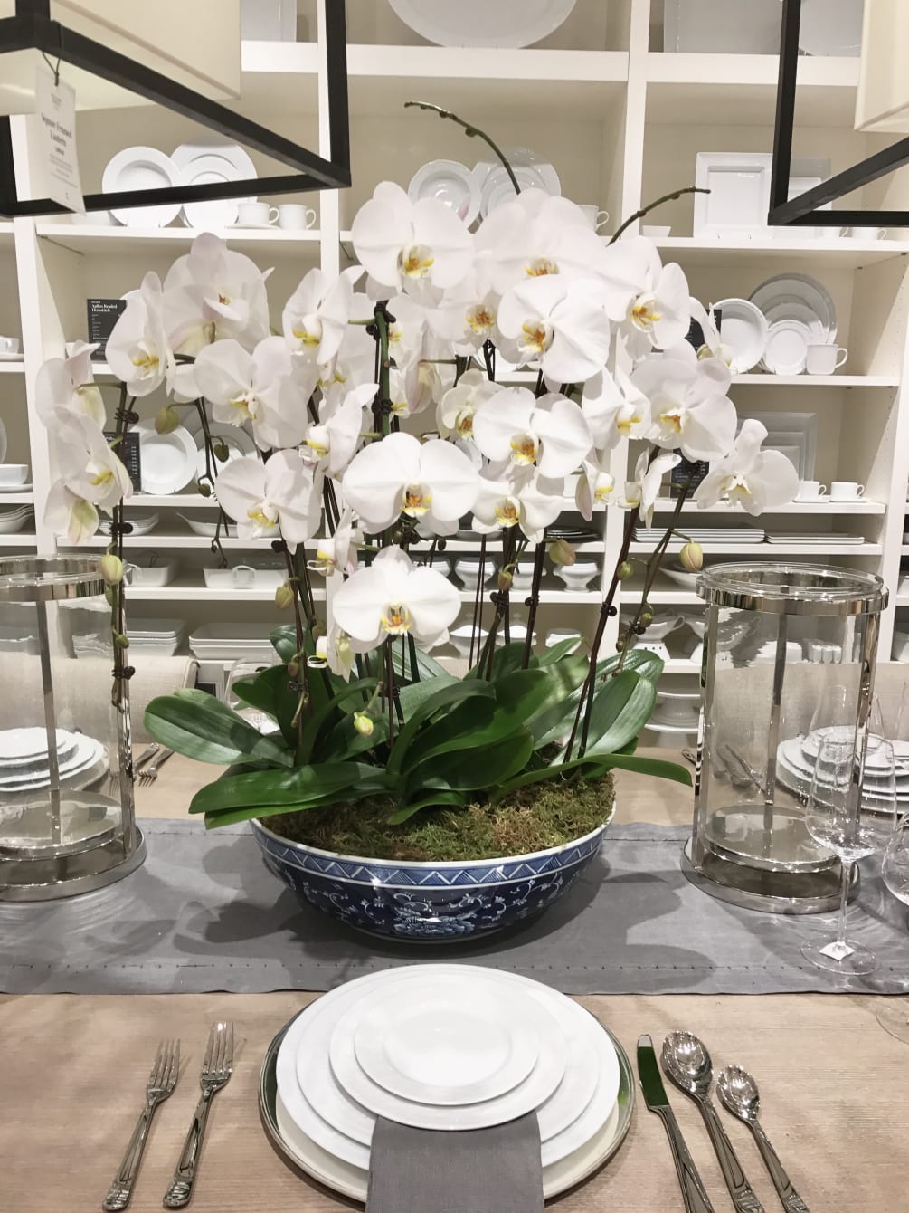 This is an amazing arrangement of white orchids in a beautiful vase.