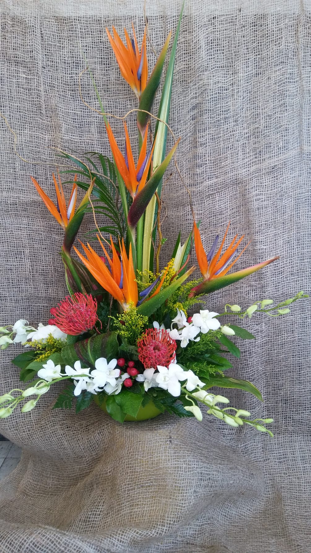 Birds Of Paradise Arrangement By Mahalo Flowers