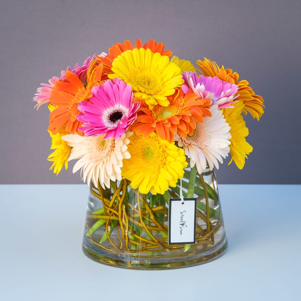 A vibrant mix of a variety of gerbera daisies are arranged in