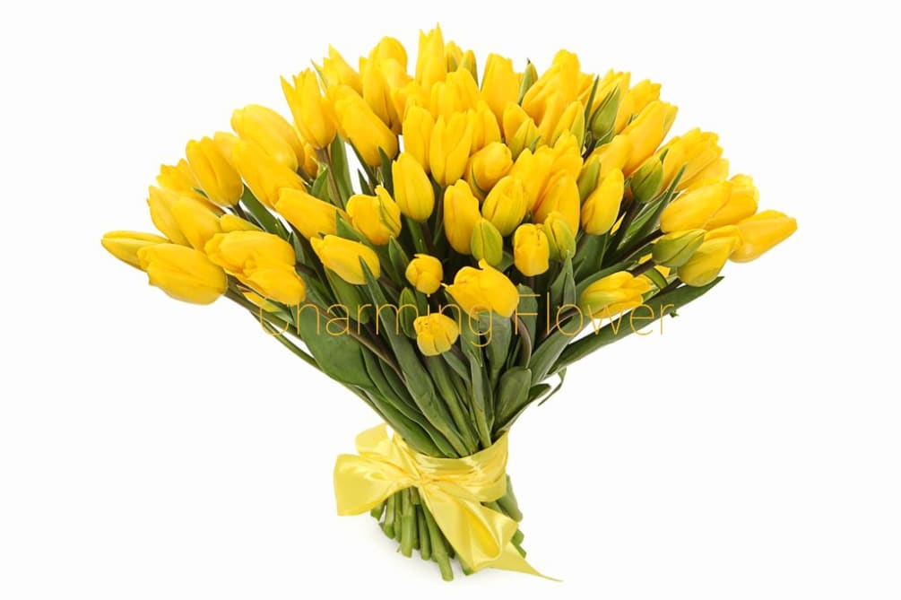 Send Some Sunshine No Vase By Charming Flower English Russkij