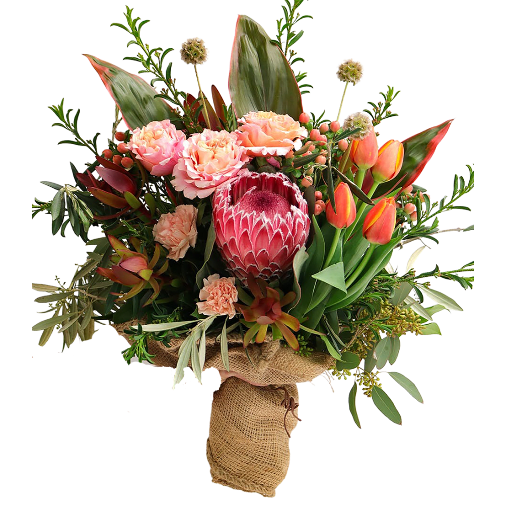 Wow . Protea are such interesting flowers. Combined with lots of nice