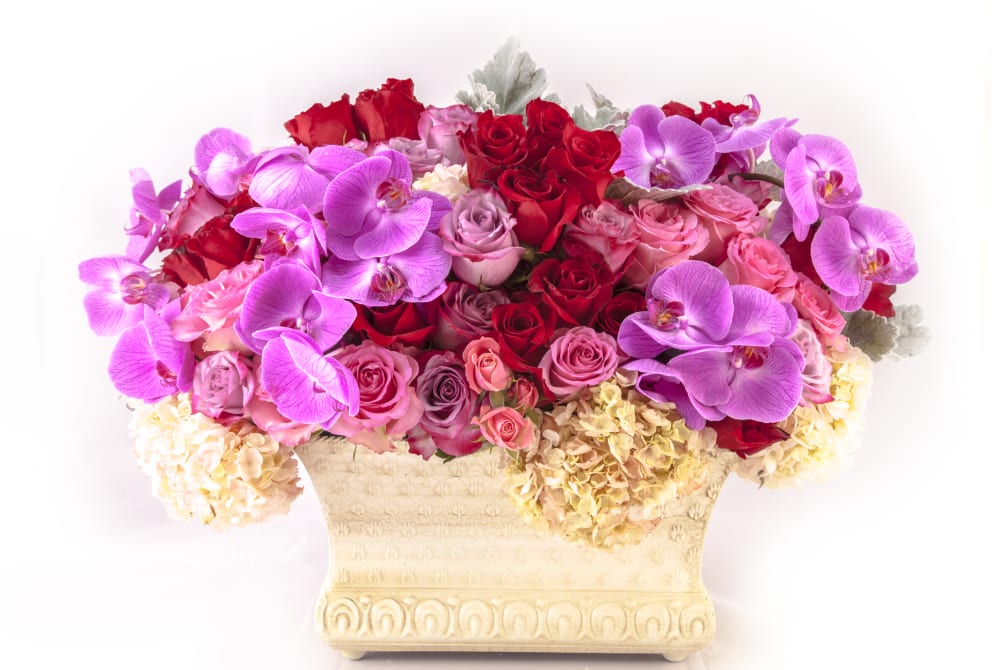 Assorted pink and red roses with white hydrangeas.