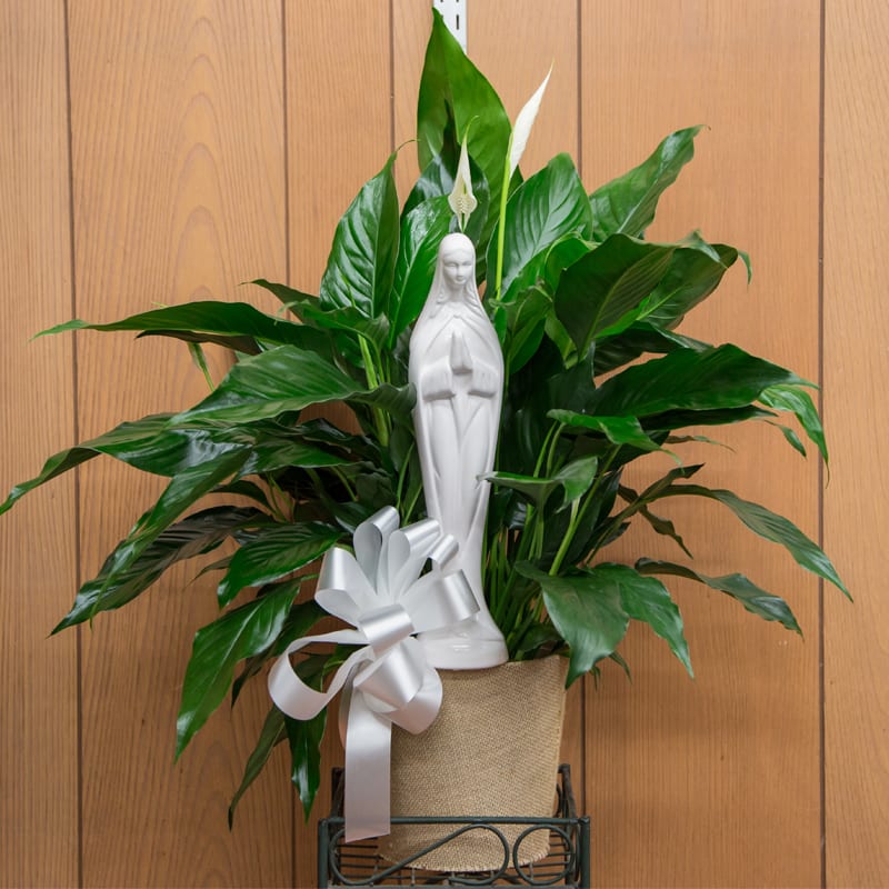 Beautiful Peace Lily plant is a basket with a white Madonna statue