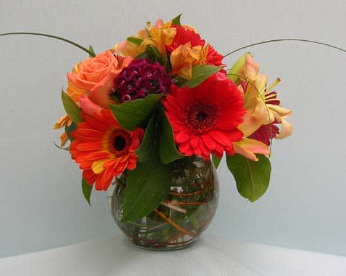 Gerber daisies, alstroemeria and miscellaneous posies in a small curly willow bowl.
Perfect