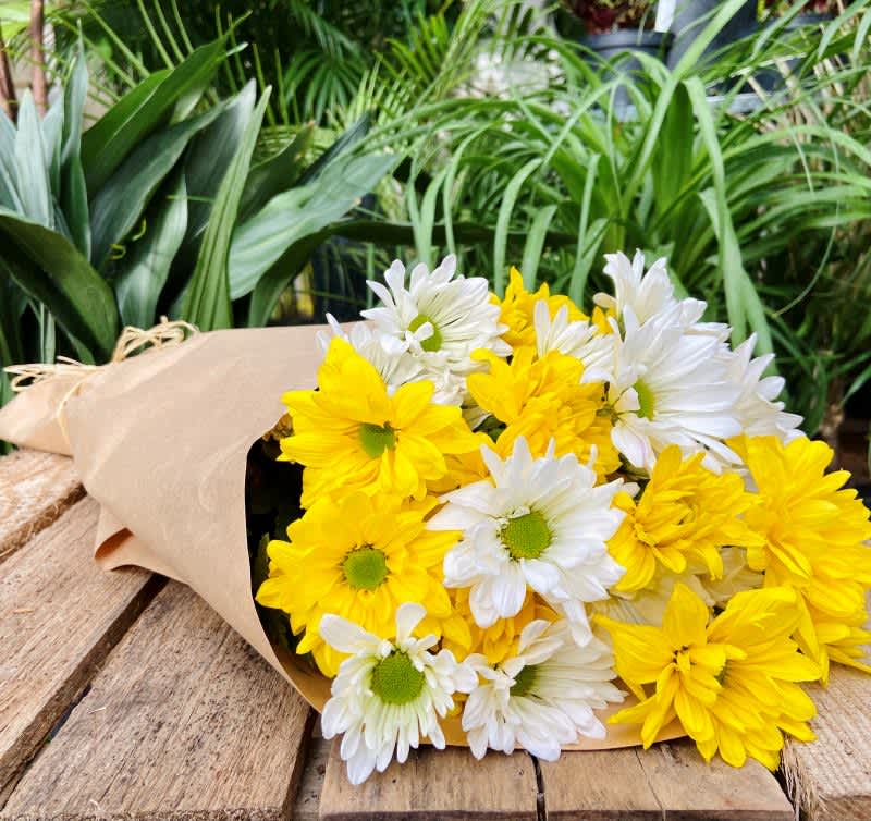 Simply Daisies is the perfect pick-me-up for any occasion. From get well