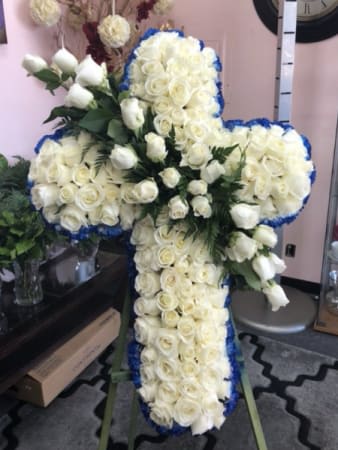 OVER 150 white roses outlined with carnations in Blue(You may choose colors).