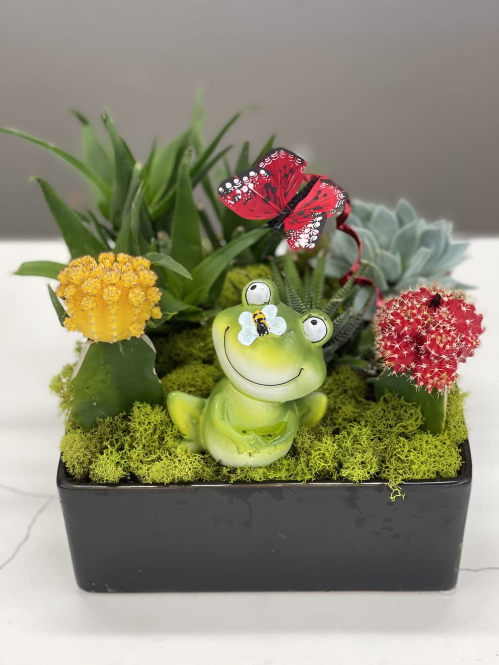 This cute little froggy is happy happy happy in his little succulent