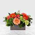 Our Hello Gorgeous Bouquet includes green mini hydrangeas; orange carnations; orange alstroemeria;