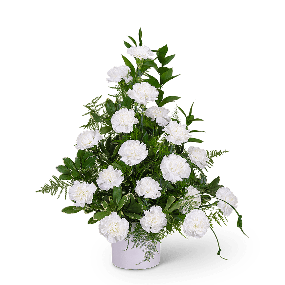 The Divinity Urn is a classic white funeral design that can be