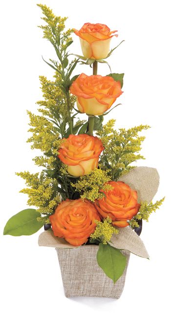 Simple vertical arrangement with orange roses