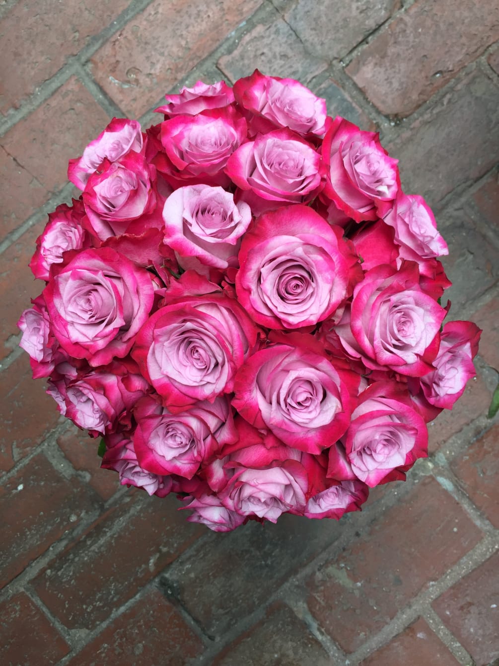 Deep Purple Roses Galore by Robins Flower Shop