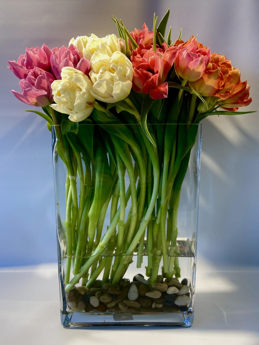 A contemporary design of tulips with assorted colors beautifully designed in a