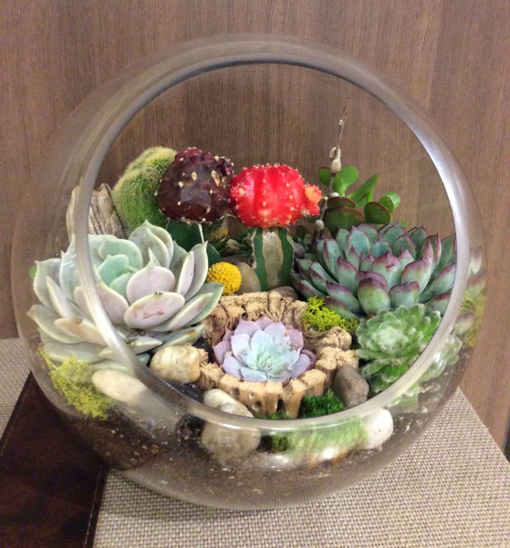 Desert Jamboree by Downtown Flowers