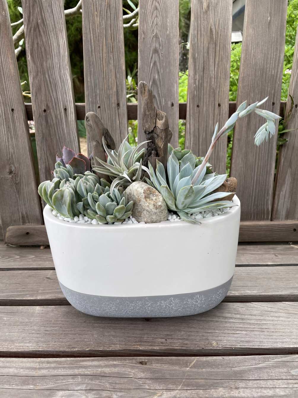 Succulents planted in a modern container with driftwood and an airplane accent.
