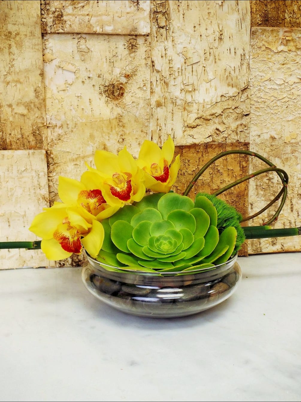 Succulent dish with river stones and beautiful yellow cymbidium .