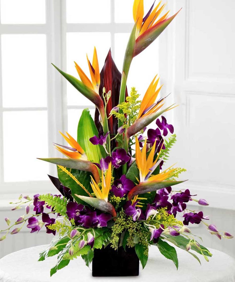Birds of Paradise paired with Splash Dendro Orchids. 