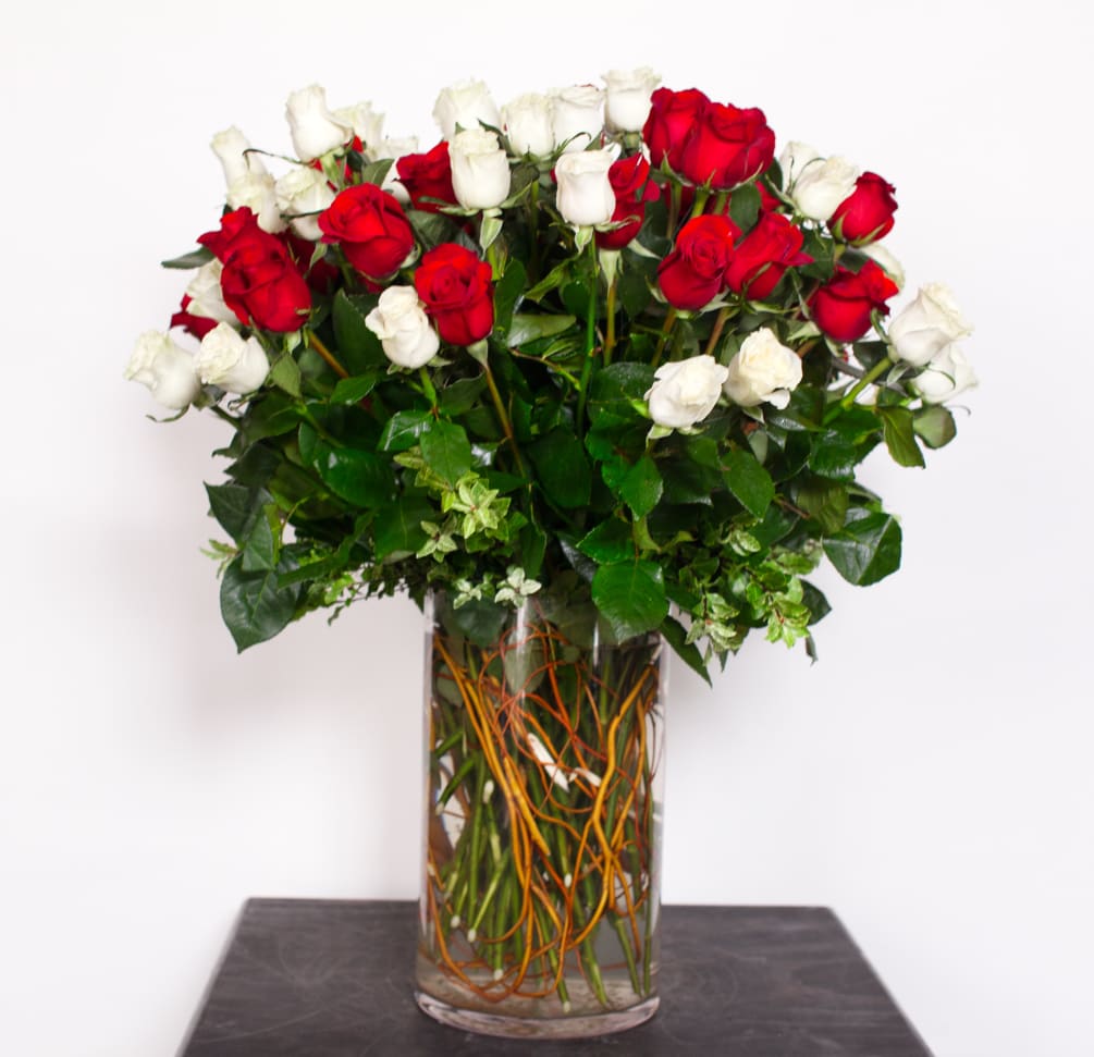 Red and white long stem roses.  Available in all one color