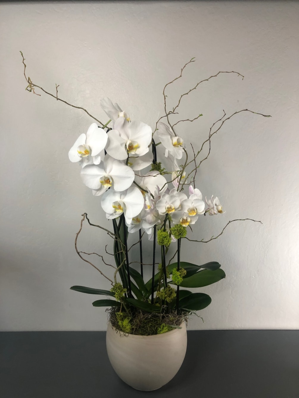 Double Phalaenopsis Orchid display dressed with curly willow and moss by  Green Bouquet Floral Design