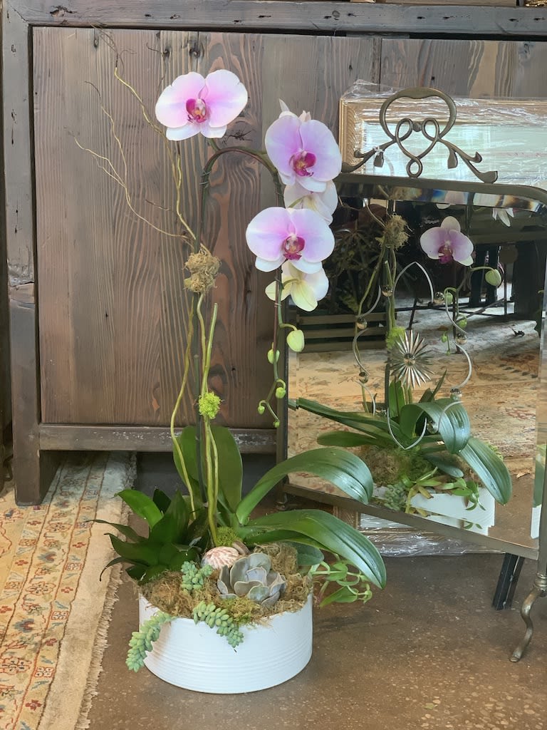 Features a large orchid in full bloom in an arrangement with other