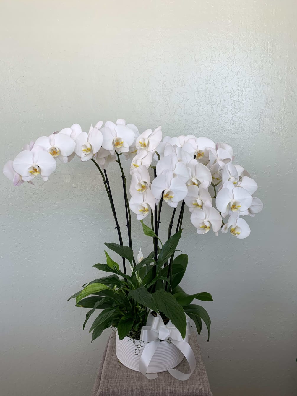 With their delicate beauty, orchids create a sense of calm in any