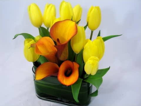 Mango Calla Lily with Tulips is another great example of simplicity in