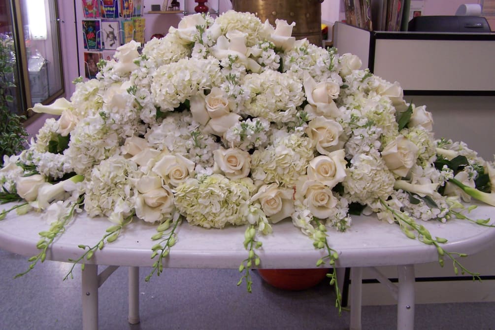 all white flowers