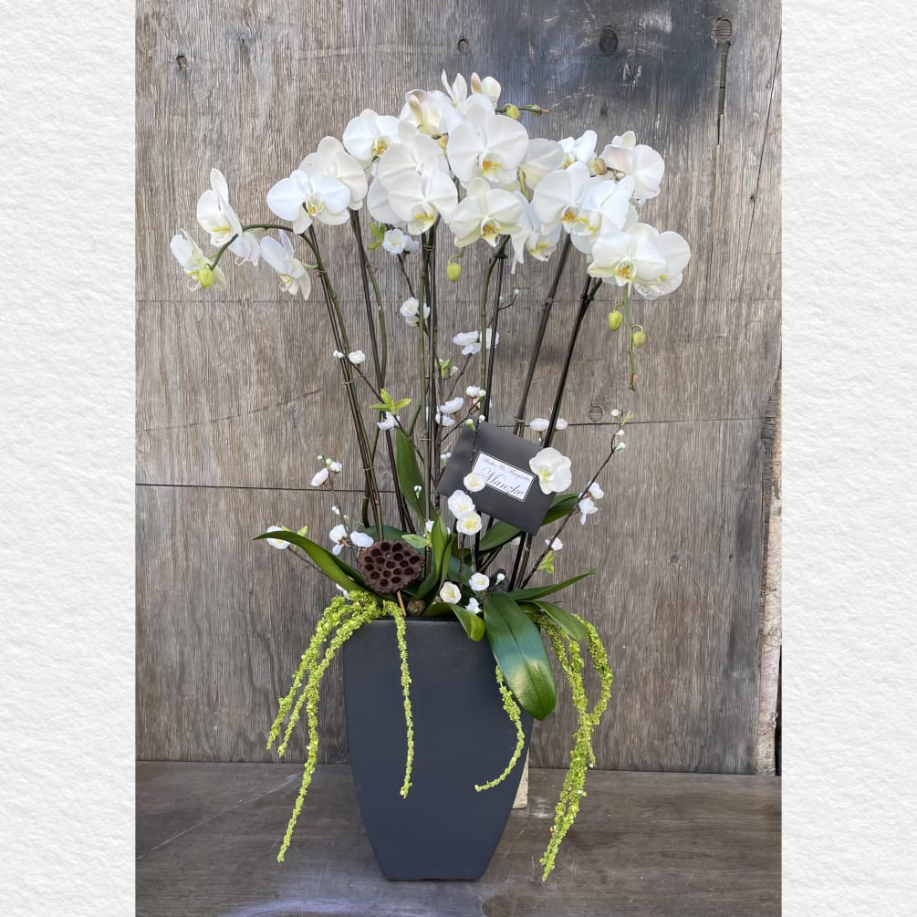 Beautiful white phalaenopsis orchids with touches of green ameranthus and white Japanese