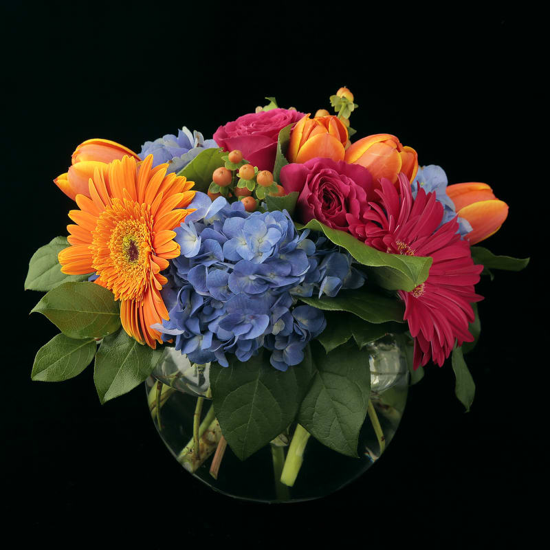 Bright, fun, cheerful flowers in blues, reds and oranges. Exact combinations may