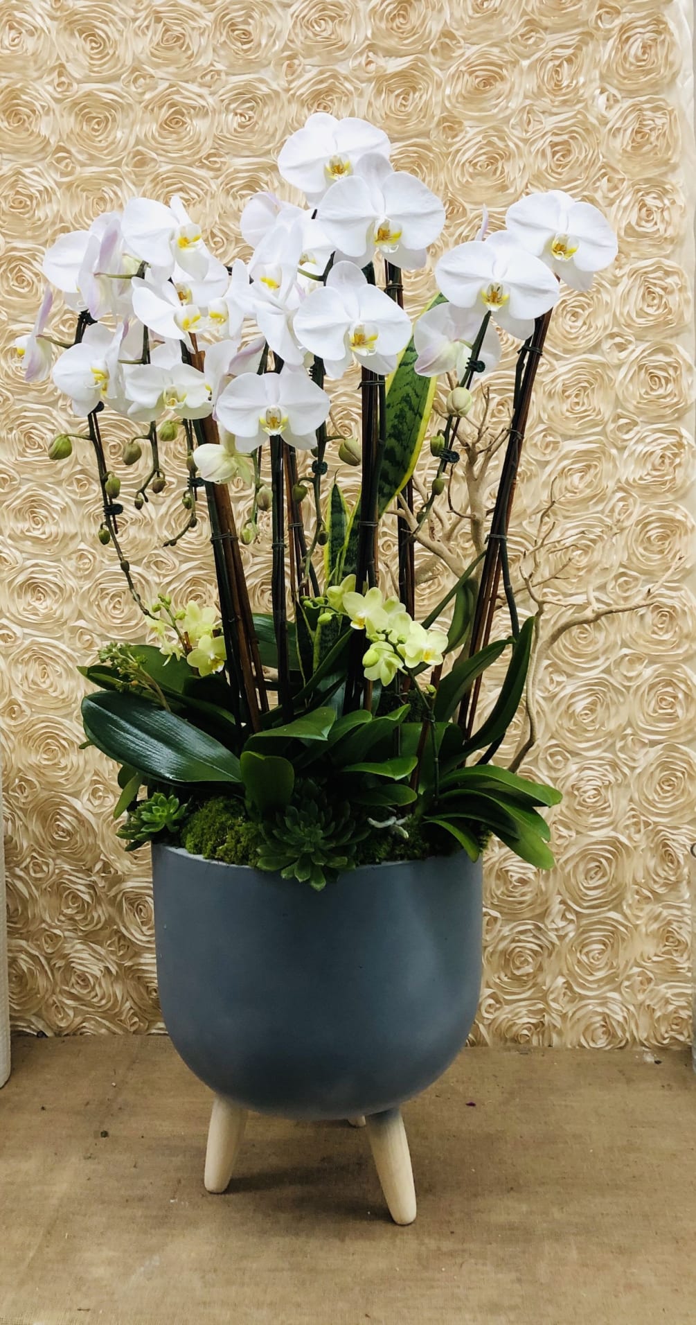A beautiful arrangement with white orchid plants that will bring a smile