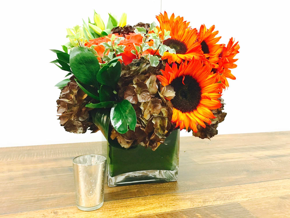 Cute and colorful...this arrangement sure packs a punch for anyone on a