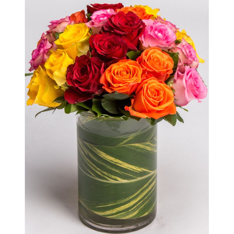  36 colorful Roses wrapped in leaf vase Product ID: AO5 