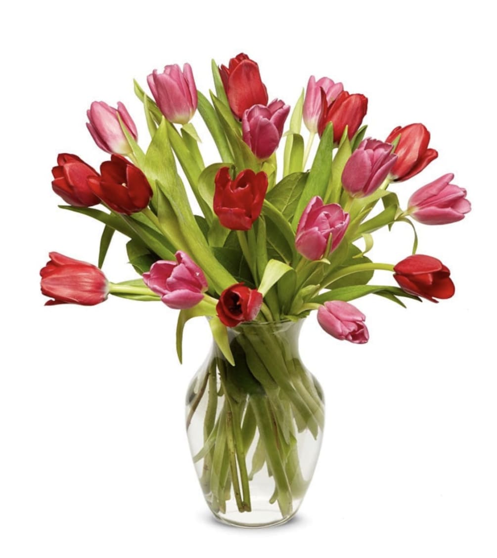 The combination of pink and red tulips evoke the thoughts of perfect