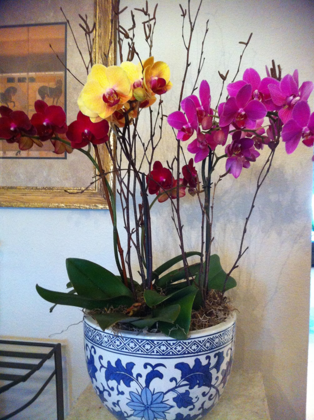 A more formal look for a large combination of orchids, this one